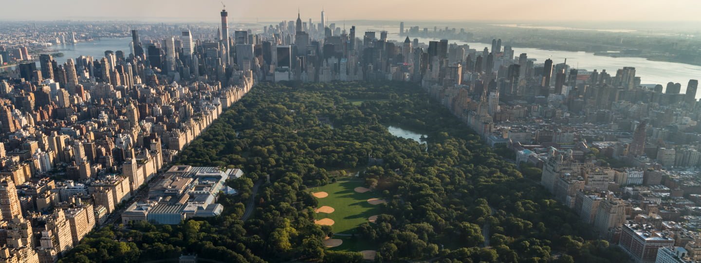 New York - Central park - Conscious Together hero image