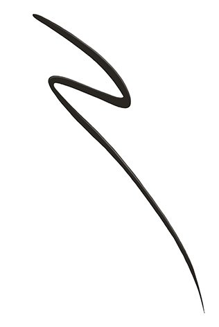 Maybelline Eyeliner master precise all day black 041554275940 t